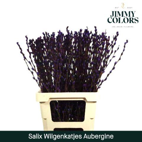 Срезанные цветы оптом Salix paint pussy willow aubergine от 50шт из Голландии с доставкой по России