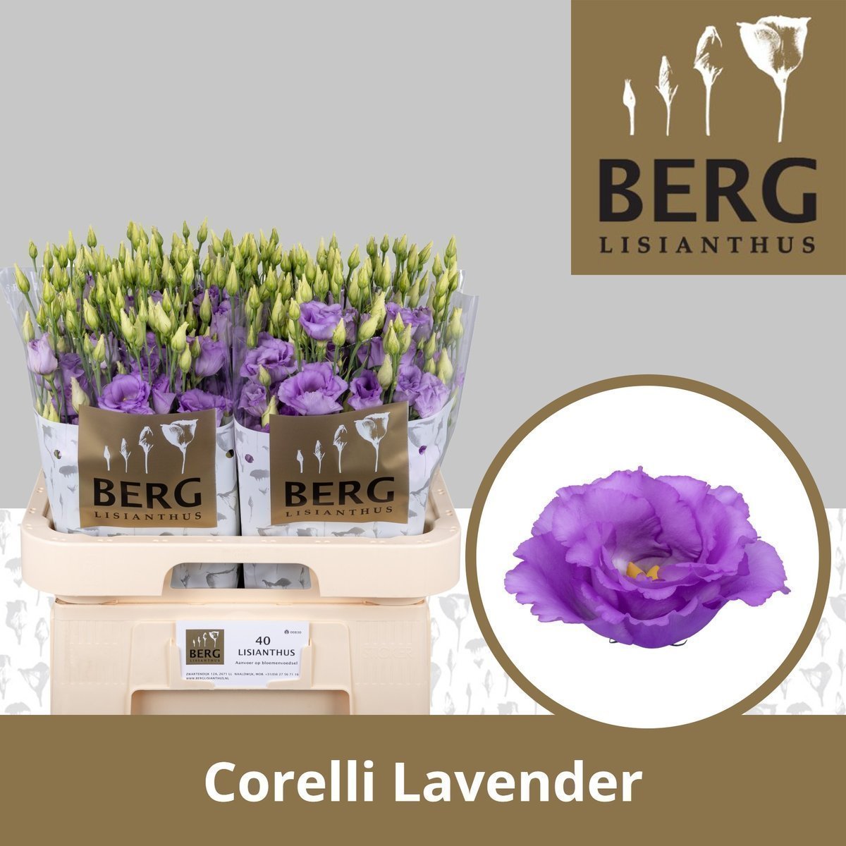Срезанные цветы оптом Lisianthus do corelli lavender от 40шт.. из Голландии с доставкой по России