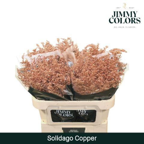 Срезанные цветы оптом Solidago paint copper от 100шт из Голландии с доставкой по России