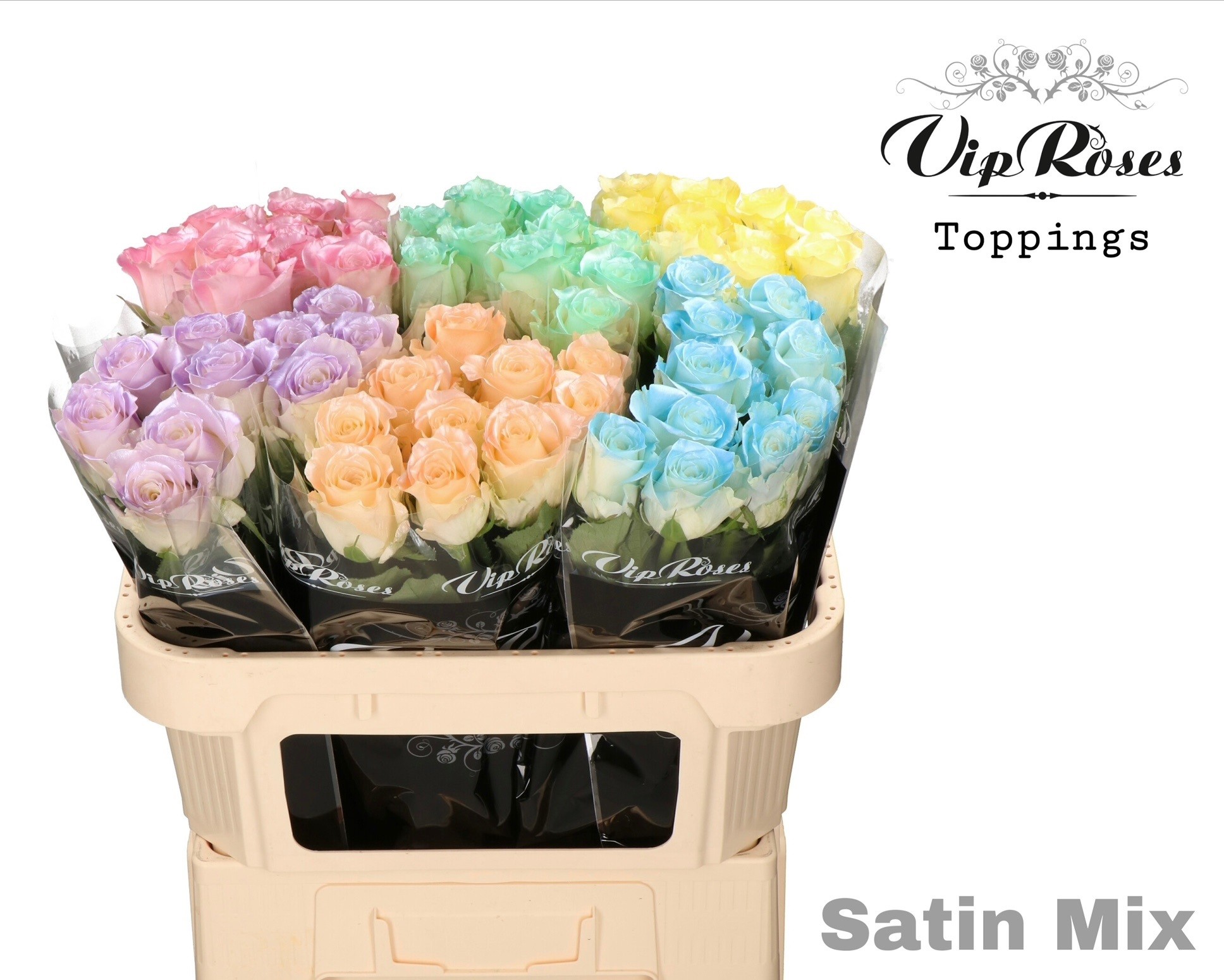 Срезанные цветы оптом Rosa large paint satin mix alpe dhuez от 60шт из Голландии с доставкой по России