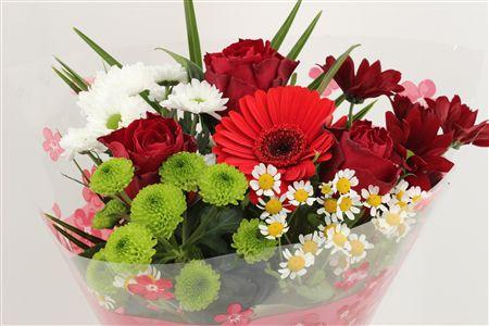 Срезанные цветы оптом Bouquet rosa small red от 10шт из Голландии с доставкой по России