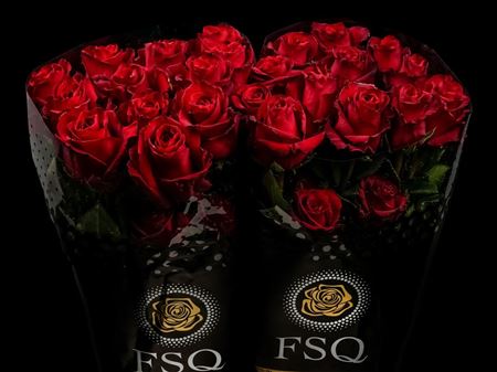 Срезанные цветы оптом Rosa ec explorer от 60шт из Голландии с доставкой по России