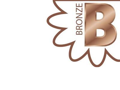 Срезанные цветы оптом Gyps large paint copper от 100шт из Голландии с доставкой по России