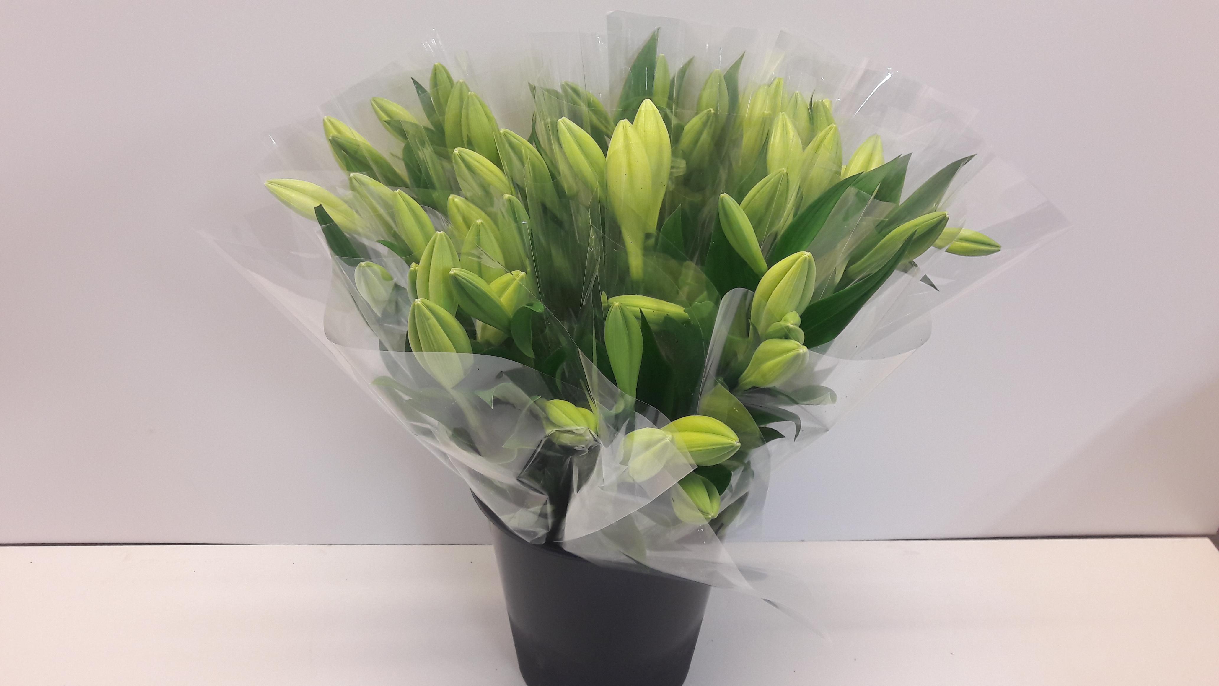 Срезанные цветы оптом Bq mono lilium lf watch up x3 от 10шт из Голландии с доставкой по России