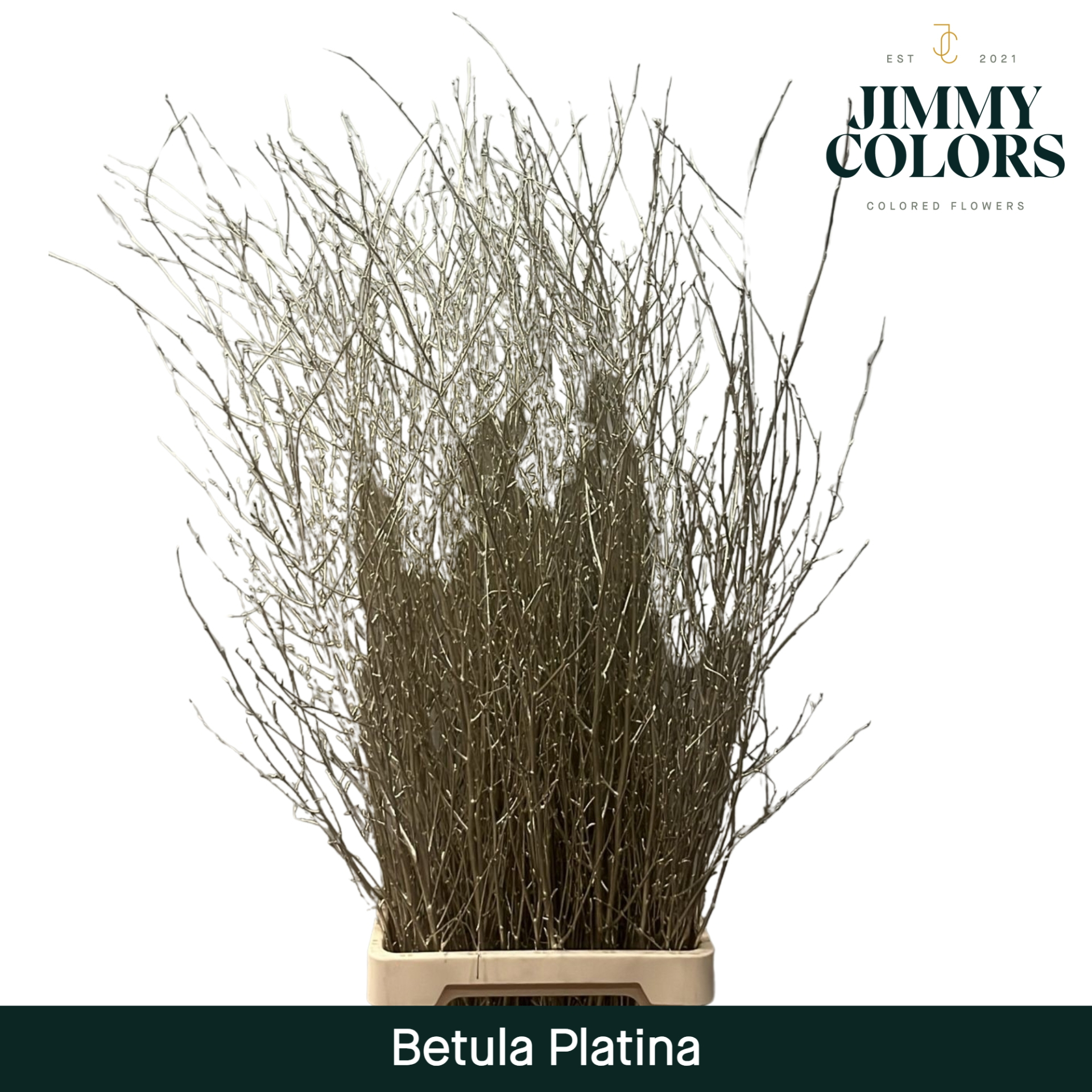 Срезанные цветы оптом Betula paint platinum от 10шт.. из Голландии с доставкой по России
