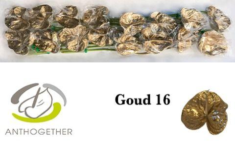 Срезанные цветы оптом Anthurium paint gold от 16шт из Голландии с доставкой по России