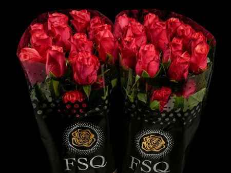 Срезанные цветы оптом Rosa ec bogart от 60шт из Голландии с доставкой по России