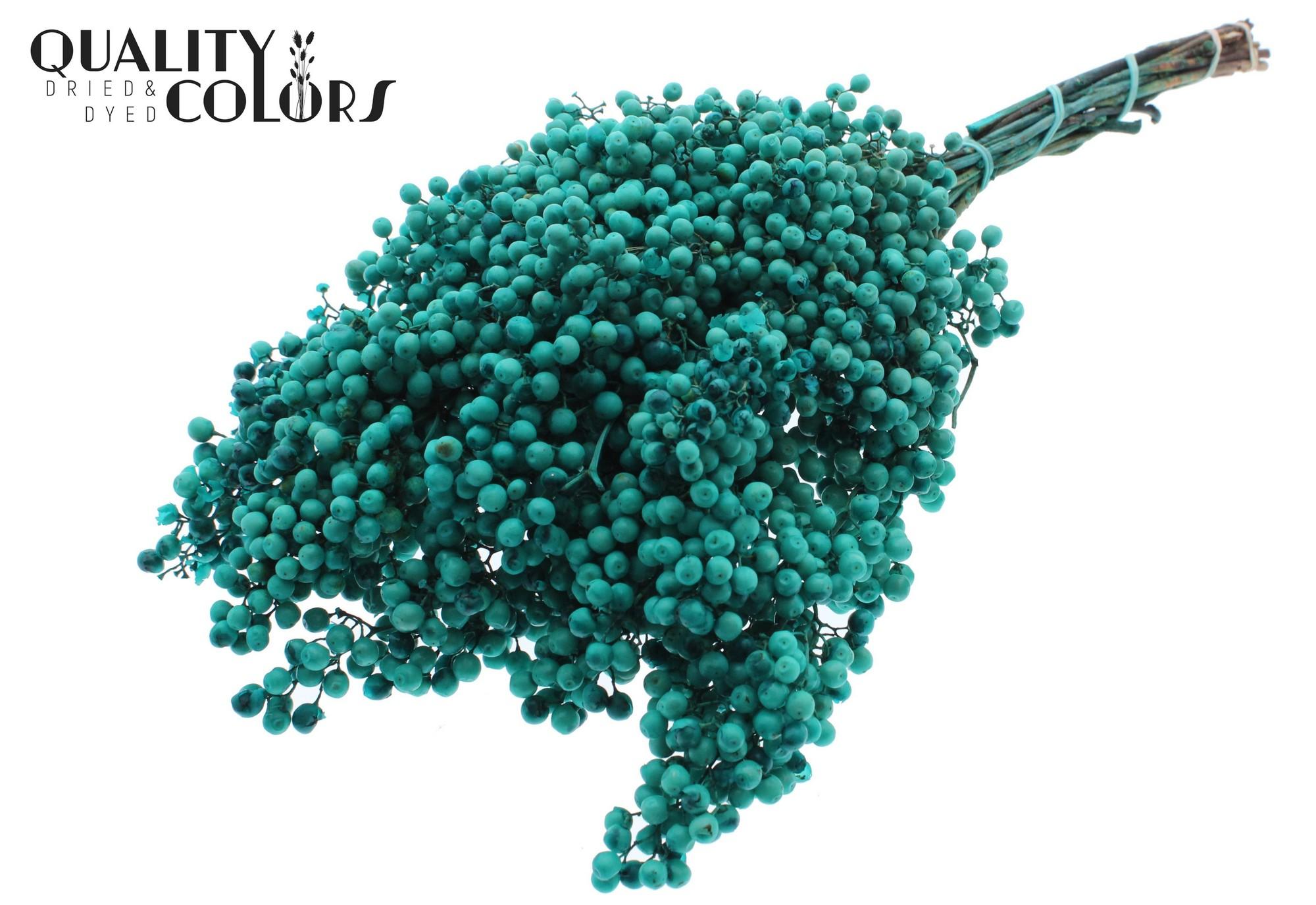 Срезанные цветы оптом Pepperberries per bunch in poly Turquoise от 5шт из Голландии с доставкой по России
