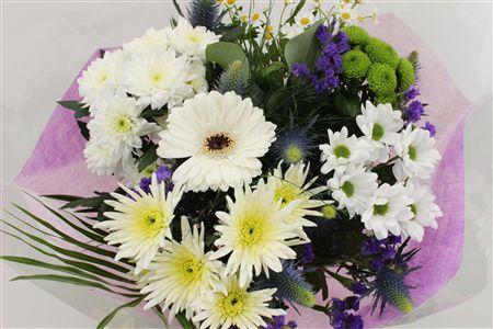 Срезанные цветы оптом Bouquet 15 stem blue от 8шт из Голландии с доставкой по России