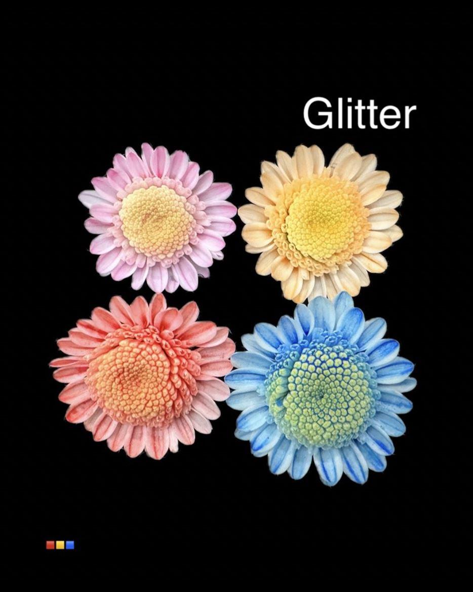 Срезанные цветы оптом Chrys sp paint stallion dusty mix 4 colours + glit от 60шт из Голландии с доставкой по России