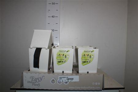 Горшечные цветы и растения оптом Watersystem Pot от 6шт из Голландии с доставкой по России