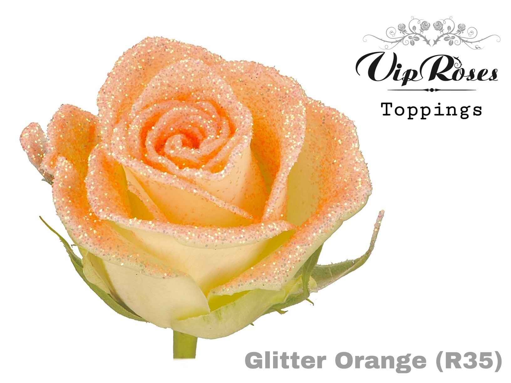 Срезанные цветы оптом Rosa la paint glitter orange (R35) от 20шт из Голландии с доставкой по России
