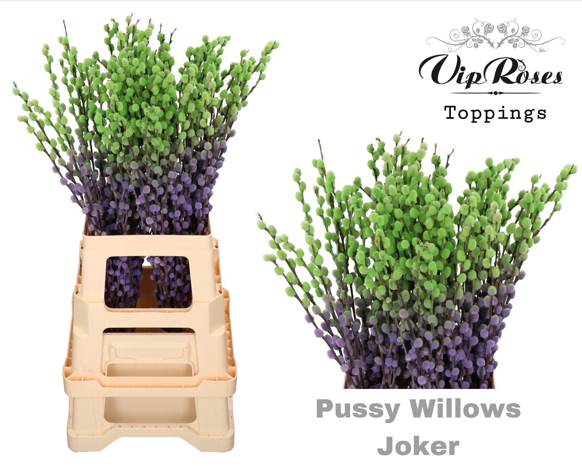 Срезанные цветы оптом Salix paint pussy willow joker от 100шт из Голландии с доставкой по России