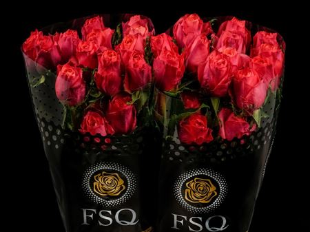 Срезанные цветы оптом Rosa ec hard rock от 50шт из Голландии с доставкой по России