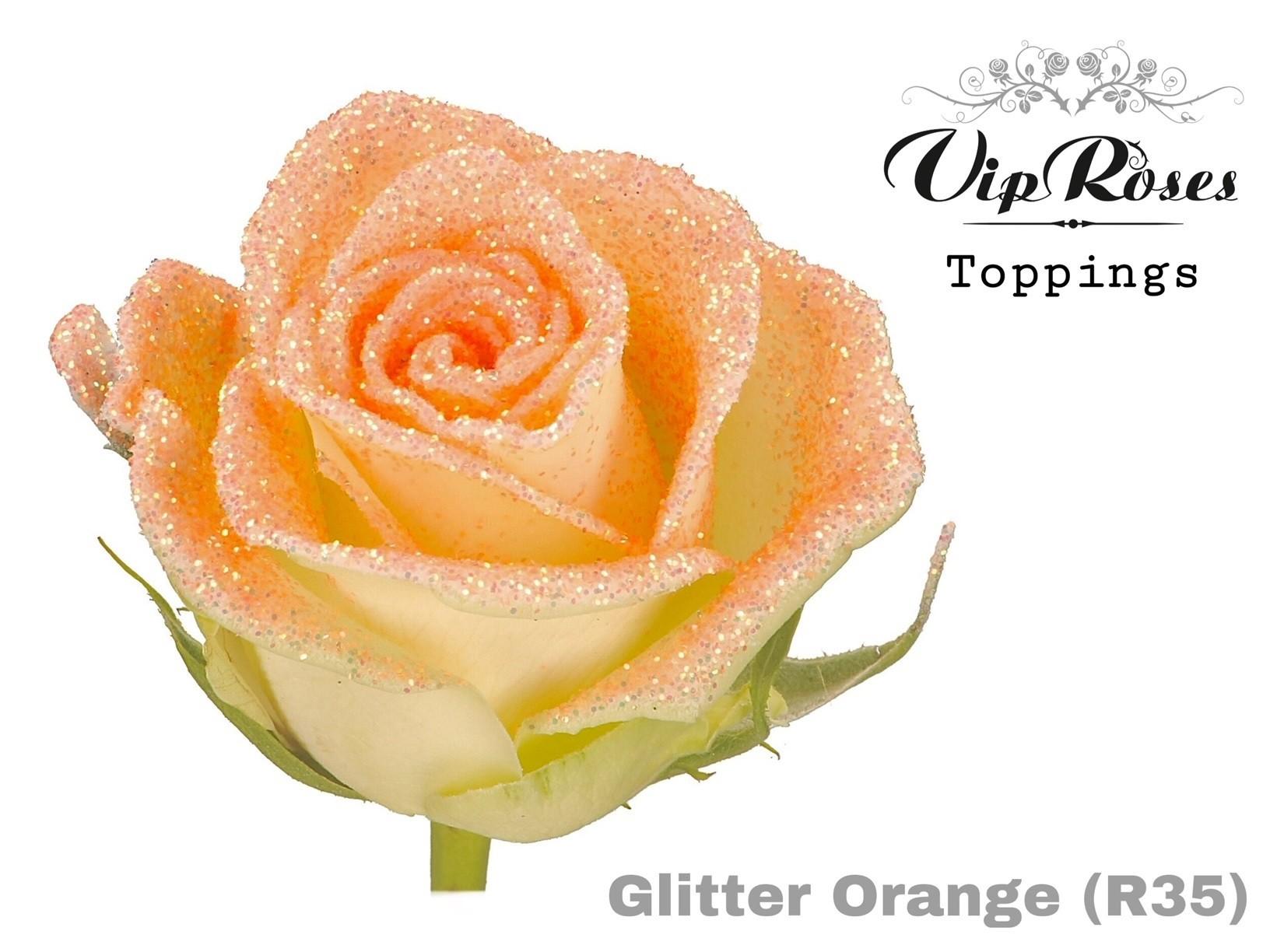 Срезанные цветы оптом Rosa large paint glitter orange (R35) от 20шт из Голландии с доставкой по России