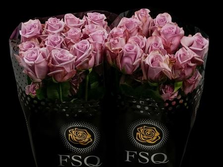 Срезанные цветы оптом Rosa ec avant garde от 40шт из Голландии с доставкой по России