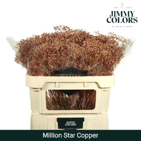 Срезанные цветы оптом Gyps fine paint copper от 25шт из Голландии с доставкой по России