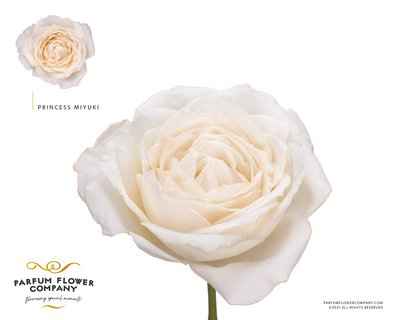 Срезанные цветы оптом Rosa la garden princess miyuki от 12шт. из Голландии с доставкой по России