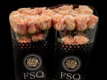 Срезанные цветы оптом Rosa garden phoenix от 40шт из Голландии с доставкой по России