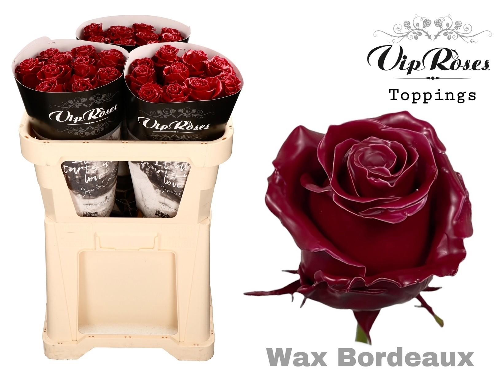 Срезанные цветы оптом Rosa large wax bordeaux от 30шт из Голландии с доставкой по России